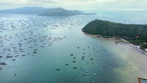 Nâng cao ý thức bảo vệ môi trường vùng nuôi trồng thủy sản: [Bài 1]  Áp dụng kiến thức tập huấn vào thực tiễn