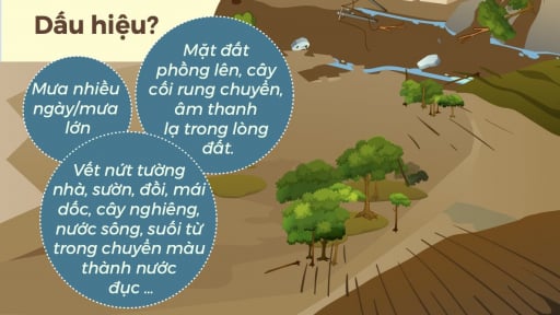 Kỹ năng phản ứng nhanh trong tình huống sạt lở đất