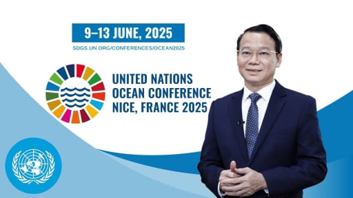 Vietnam plays a responsible role in global ocean conservation