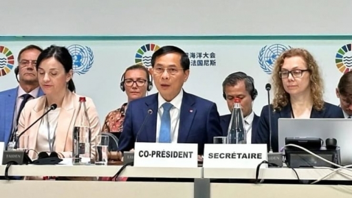 Vietnam co-chairs high-level session on advancing sustainable fisheries