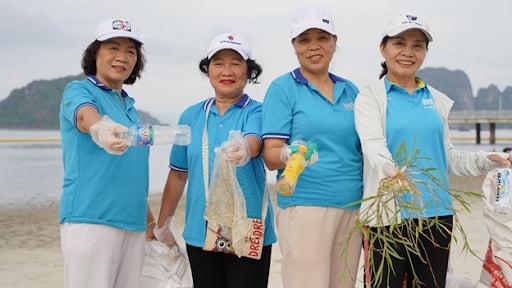 NPAP: Connecting over 200 organizations, 160 plastic pollution reduction projects