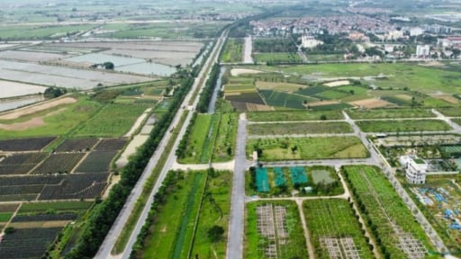 TP. HCM đề xuất miễn giấy phép xây dựng cho 112 dự án bất động sản
