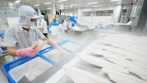 Xuất khẩu thủy sản tăng, thị trường sẽ chuyển dịch mạnh