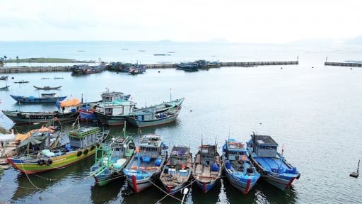 Giám sát chặt chẽ tàu cá để chống khai thác IUU