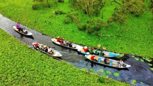 Post-merger agriculture in the Mekong Delta: Expanding raw material areas and planning ecological subregions