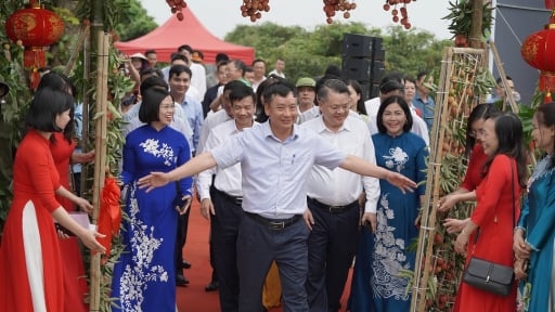 Khai mở mùa vải thiều Thanh Hà 2025, hướng tới thị trường toàn cầu