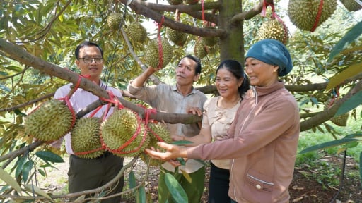 Tín dụng- 'chìa khóa’ giảm nghèo: [Bài 2] Tạo việc làm, ‘khơi thông’ nguồn lực