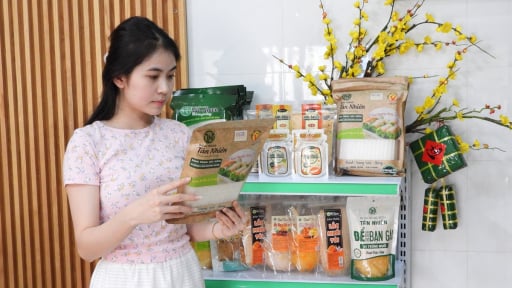 Không cấp giấy chứng nhận đầu tư cho các dự án nhập khẩu túi nilon