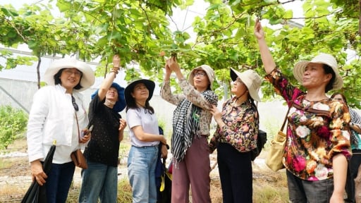 OCOP Tây Ninh kết tinh văn hóa bản địa, phát triển du lịch