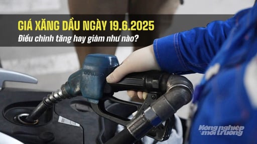 Giá xăng dầu trong nước 19/6/2025 tăng hay giảm sau phiên điều chỉnh?