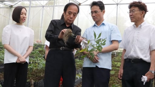 Lai Chau ginseng goes global with technical support from Japan