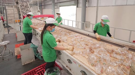 Doanh nghiệp né tái chế, EPR bị biến thành cơ chế 'nộp tiền cho xong'