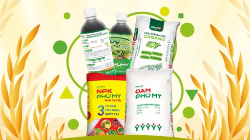 Bộ ba vàng vô cơ – hữu cơ – sinh học của Phú Mỹ