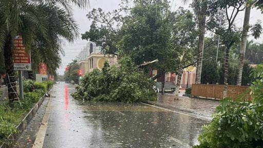 Bắc Ninh chủ động ứng phó với bão