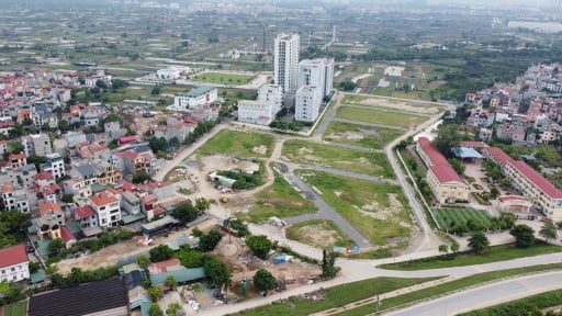 TP.HCM: Đặc khu Côn Đảo được quyền cấp giấy phép xây dựng