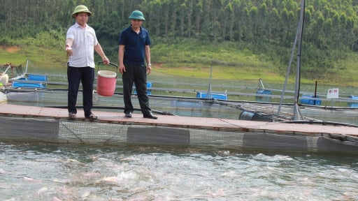 Đặt mục tiêu nuôi trồng, khai thác 9.200 tấn thủy sản vùng hồ Thác Bà