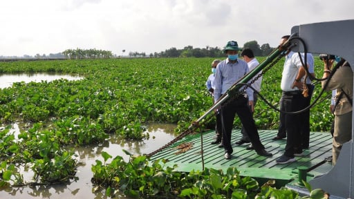Trục vớt lục bình để giữ sông 'xanh'