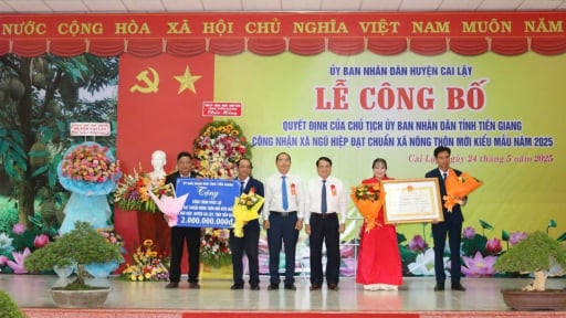 Tiền Giang hoàn thành nhiệm vụ xây dựng nông thôn mới
