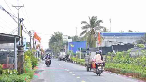 Vương quốc cây giống hoa kiểng Chợ Lách trong diện mạo mới