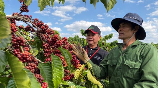 Integrating social factors into the value of agricultural products: The story of Nestlé