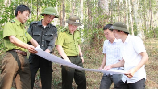 Chủ tịch tỉnh Yên Bái chỉ đạo hỏa tốc phòng cháy chữa cháy rừng