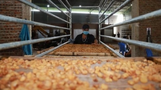 Triển khai chiến lược phát triển ngành nghề nông thôn