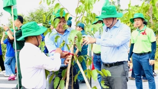 Cần Thơ đặt mục tiêu trồng hơn 1,4 triệu cây xanh