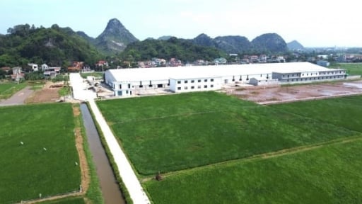 Công ty Lộc Phát ngang nhiên lấp kênh Sông Xã?