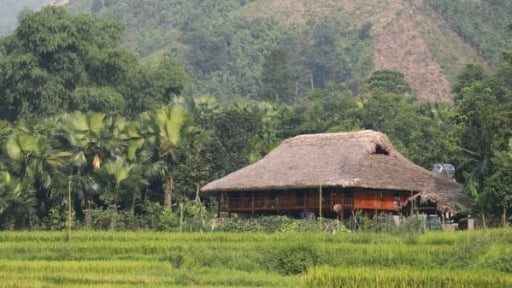 Về nơi suối sạch, đồng xanh