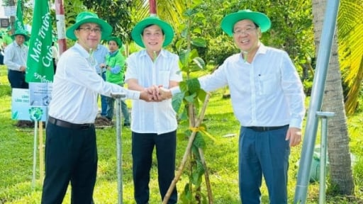Lan tỏa phong trào trồng cây, thu gom rác nông nghiệp vì môi trường