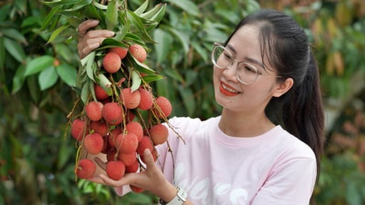 Giữ mạch đầu tư lâu bền cho nông sản Việt