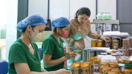 Sản phẩm OCOP Đà Nẵng ‘vươn mình’ nhờ công nghệ và bản sắc riêng