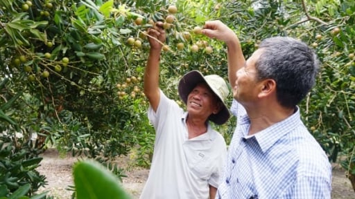 Bà Rịa - Vũng Tàu mở lối phát triển xanh