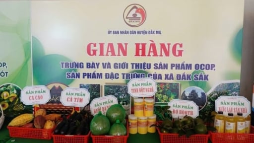 OCOP Đắk Mil khơi dậy tiềm năng, dựng xây nông thôn mới