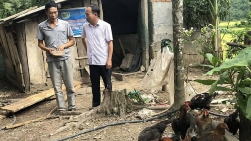 Muốn đi xa phải bắt đầu từ rất gần