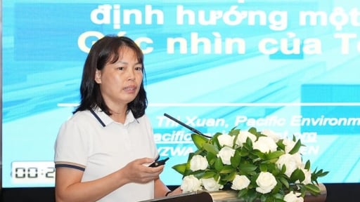 Việt Nam cần chuẩn bị gì cho đàm phán thỏa thuận nhựa toàn cầu?