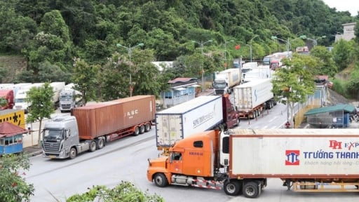 Điều chỉnh thời gian thông quan hàng hóa xuất nhập khẩu