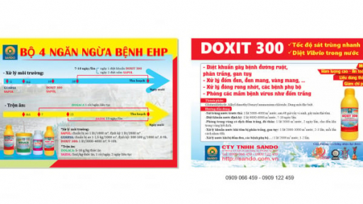 Bệnh vi bào tử EHP trên tôm và giải pháp phòng ngừa