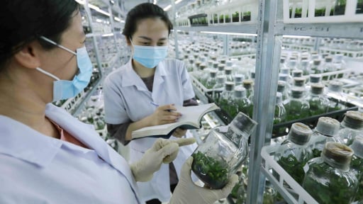 Từ 1/10 sẽ ưu đãi đất đai cho hoạt động khoa học công nghệ