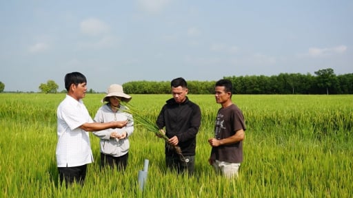 Phát huy vai trò '5 nhà' trong chuyển đổi xanh
