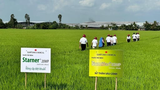 Sumitomo Chemical: Cầu nối công nghệ Nhật - Việt vì mục tiêu phát triển nông nghiệp bền vững