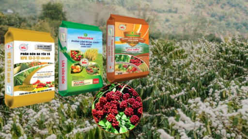 Phân bón Văn Điển: Chất lượng đỉnh cao, lựa chọn hoàn hảo cho cây công nghiệp