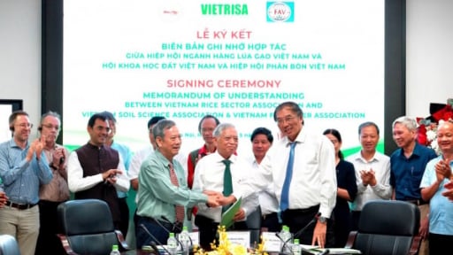 Ngành đất và phân bón hợp sức hỗ trợ ngành lúa gạo phát triển bền vững