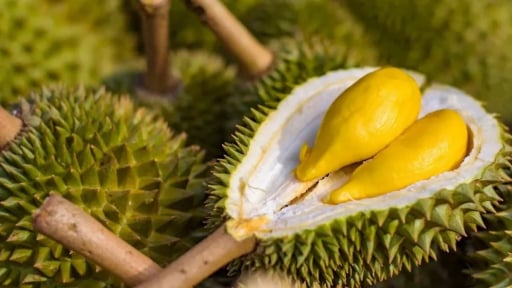 Lựa chọn phân bón đúng để nông sản không bị tồn dư Cadimi