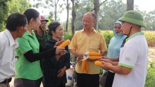 ‘Cộng đồng Tiến Nông’ kiến tạo nền nông nghiệp xanh, hiện đại