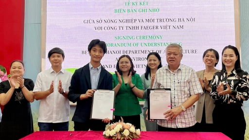 Hà Nội hợp tác phát triển tín chỉ carbon từ canh tác lúa