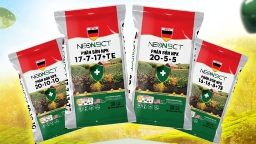 Ra mắt sản phẩm NEONBCT, giải pháp phân bón giảm phát thải cho đồng ruộng