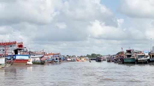 Trà Vinh kiểm soát hoạt động tàu cá trên biển 24/24 giờ