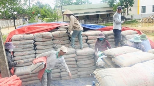200 tấn xi măng hỗ trợ xây dựng nông thôn mới bị 'bỏ không' ngoài trời gây thất thoát, lãng phí