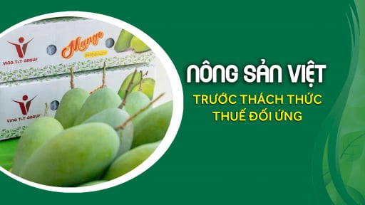 Đẩy mạnh xuất khẩu rau quả trong 'hạn treo' 90 ngày